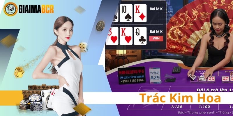 Tìm hiểu luật chơi game Trác Kim Hoa trực tuyến tại các Casino online